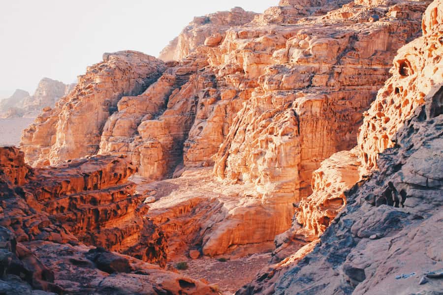 Petra & Wadi Rum: Full Day Private Tour with Hotel Pickup - Wadi Rum by open-air 4x4