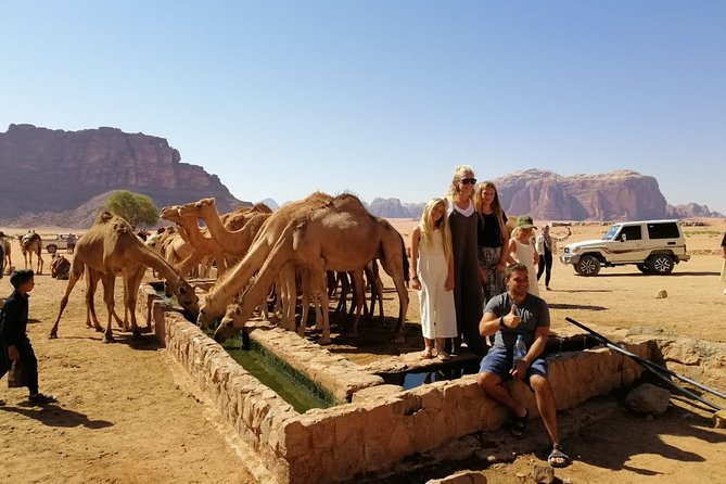 Petra & Wadi Rum in 3 Days from Amman Airport - The Guide and Driver Make the Difference