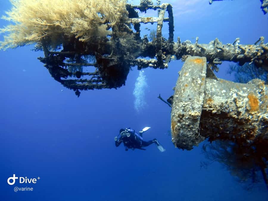 Pivate scuba diving in the Red Sea of Aqaba - Key points at a glance