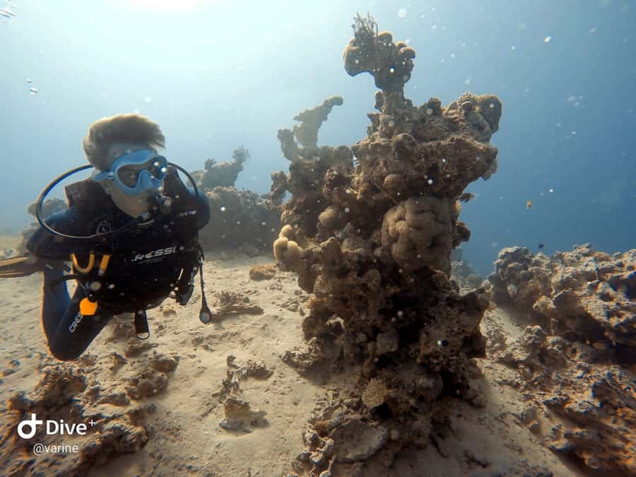 Pivate scuba diving in the Red Sea of Aqaba - Getting started at Aqaba Pro Divers
