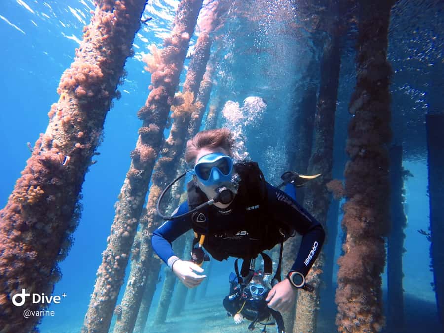 Pivate scuba diving in the Red Sea of Aqaba - Coral reefs and Red Sea marine life