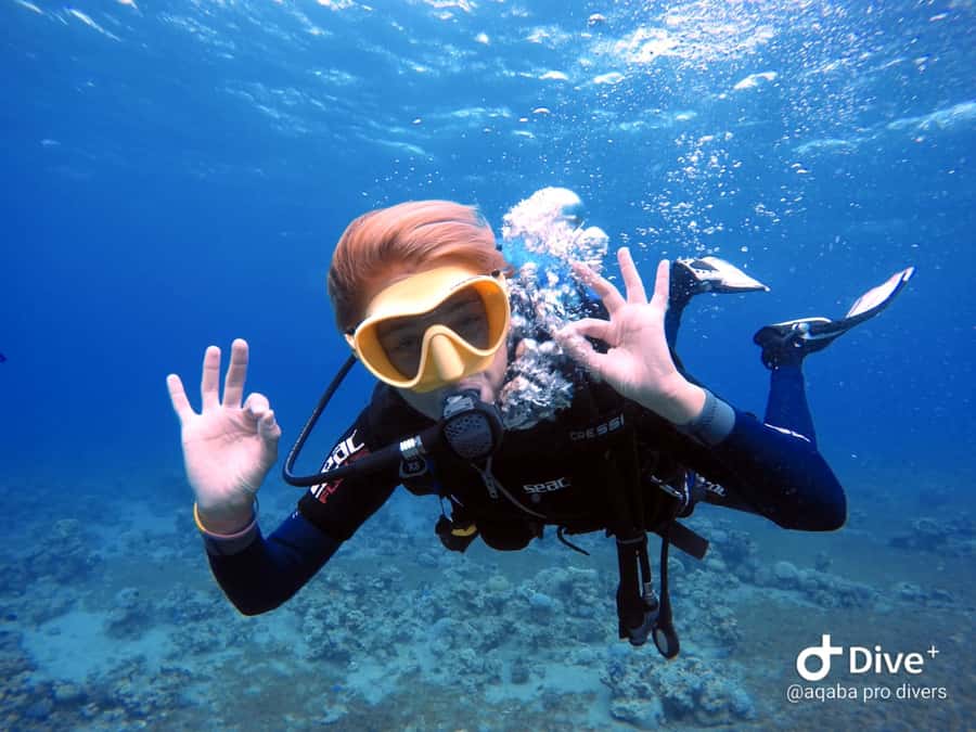 Pivate scuba diving in the Red Sea of Aqaba - What the $54 price really buys