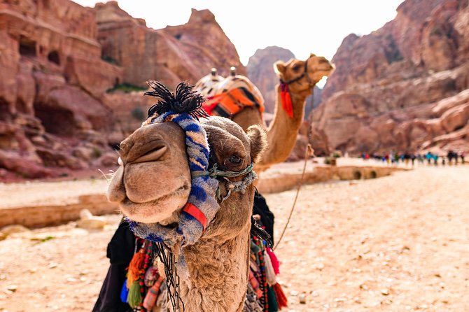 Private 2 -Days Tour to Petra - UNESCO World Heritage Site with Petra by Night - The 9 a.m. pickup from Amman