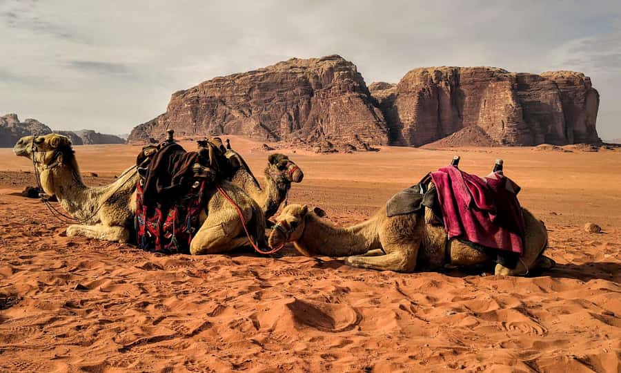 Private 3-Hour Guided Tour of Petra with Hotel Pickup . - Time of day, pace, and the rest of your Petra visit