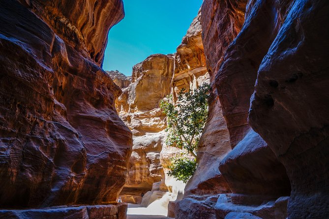 Private Back Trail Tour of Petra starting from the Monastery - The Treasury and the walk through the Siq