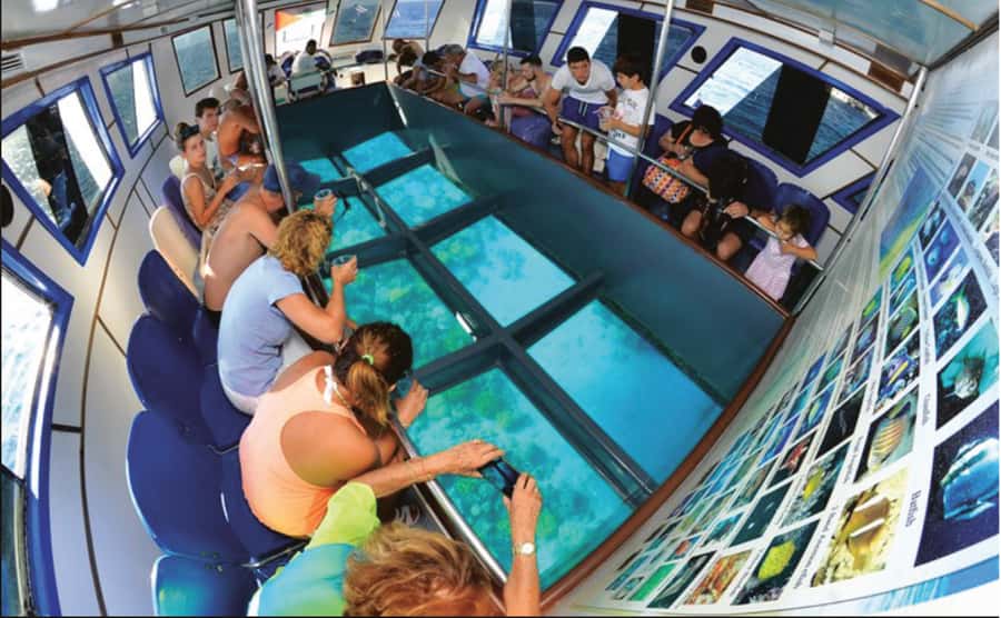 Private beach access with lunch and boat trip - From Aqaba to the marine park
