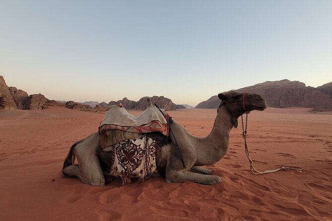Private Camel Ride Sunset View at Wadi Rum, 30% off - Setting out from Wadi Rum Village
