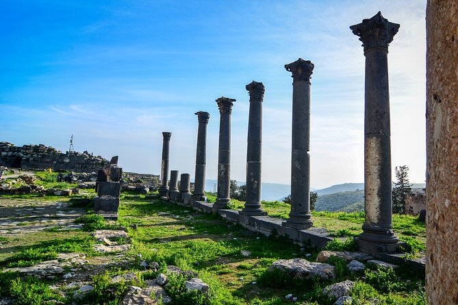 Private Day Tour to Umm Qais from Amman with Optional Hiking Trail - Why Umm Qais is worth the trip from Amman
