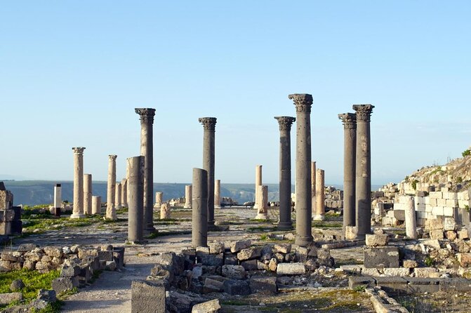 Private Day Trip to Jerash, Umm Qais and Ajloun Castle from Amman - Ajloun Castle: a medieval change of pace