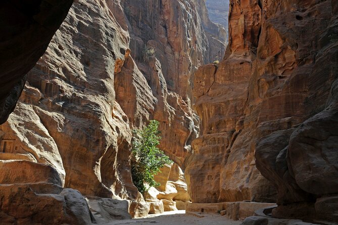 Private Full Day Tour from Amman to Petra - Comfort during a long day on the road