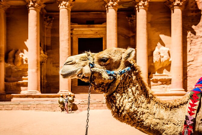 Private Full Day Tour from Amman to Petra City - Petra’s water channels and the wider city