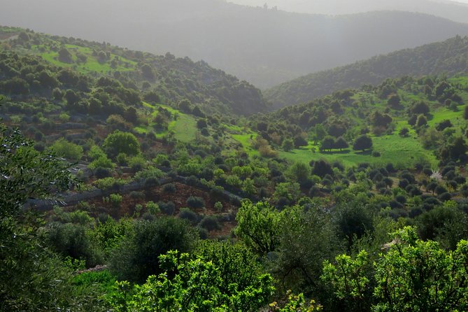 Private Full Day Tour to Umm Qais and Ajloun from Amman - Is $120 per person a good value?