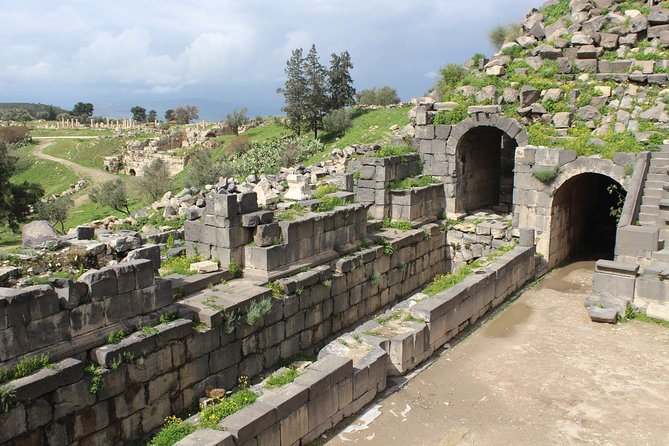 Private Full Day Tour to Umm Qais and Ajloun from Amman - Timing, communication, and small practical concerns