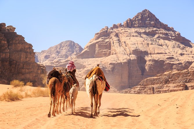Private Full Day Trip to Wadi Rum Valley of Moon Martian Desert from Amman - First views of the Valley of the Moon