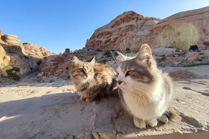 Private Guided Tour in Petra with licensed guide - Is $70 a good value for up to six people?