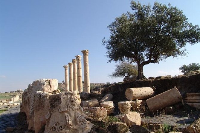 Private Guided Umm Quais and Jerash tour with lunch - Two northern treasures from Amman in one day