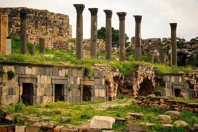 Private Guided Umm Quais and Jerash tour with lunch - Walking through Jerash’s Roman streets