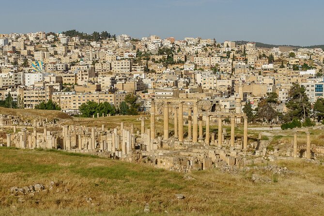 Private Half Day Tour in Jerash From Amman - Temples, arches, and theaters in two hours