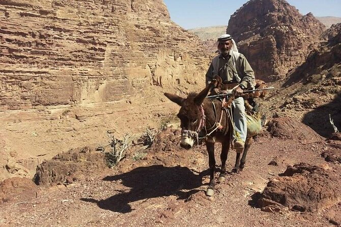 Private Half-Day Tour of Petra with Lunch - What the private format is worth at $120