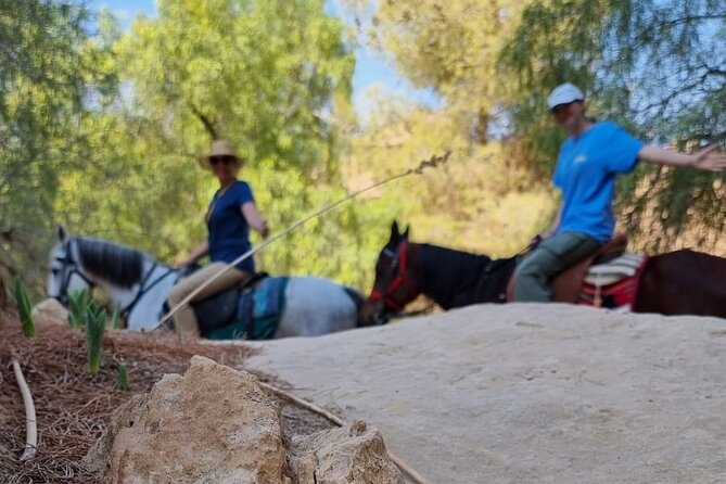 Private Indiana-Jones Archeological Trail Tour - What the private guide adds