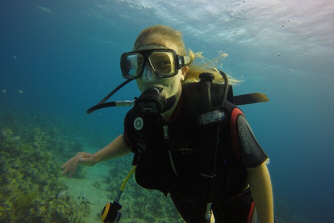 Private Intro Scuba Dive – Aqaba Coral Reefs - From Shallow Water to the Reef