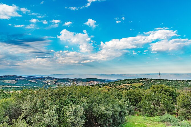 Private North Tour to Jerash, Ajloun, and Umm Qais from Amman - What $140 per person really buys