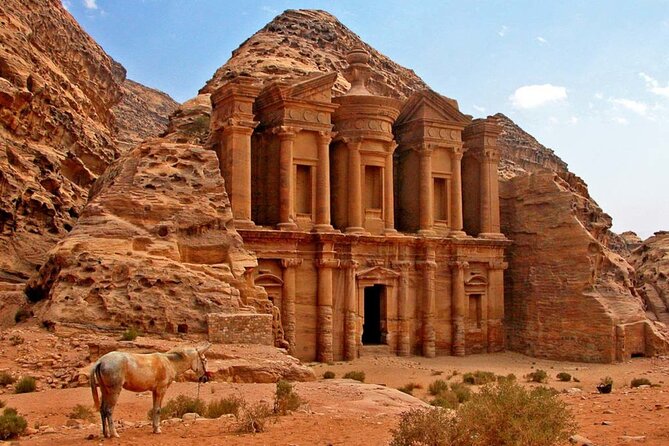 Private Petra Sightseeing day tour from Aqaba port - Key points to know before you book