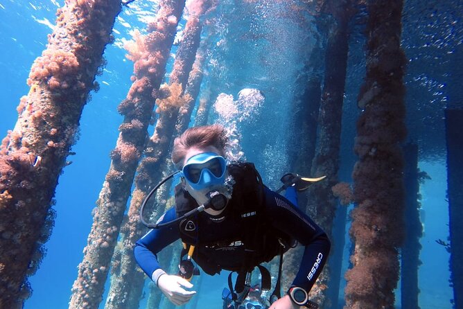 Private Scuba Diving Adventure in the Red Sea of Aqaba - Key points at a glance