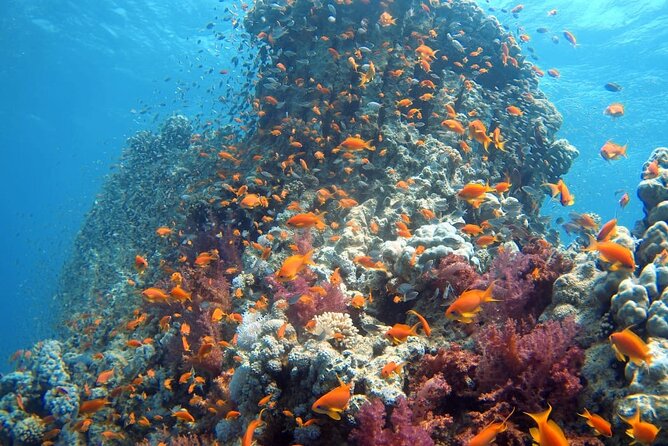 Private Scuba Diving Adventure in the Red Sea of Aqaba - The meeting point and the shore start