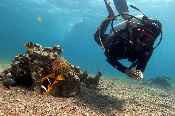 Private Scuba Diving Adventure in the Red Sea of Aqaba - The value of $52.34 per person