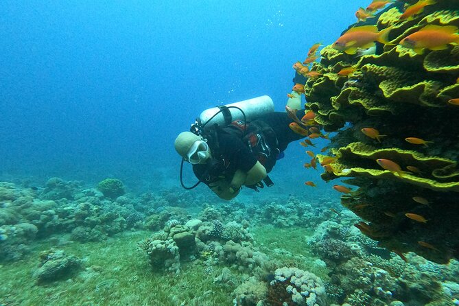 Private Scuba Diving Adventure in the Red Sea of Aqaba - Weather, fitness, and practical limits