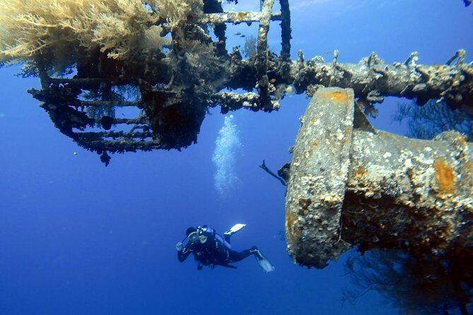 Private Scuba Diving Adventure in the Red Sea of Aqaba - How the two-hour beginner session unfolds