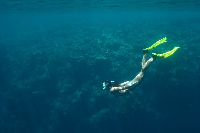 Private Snorkeling Experience in Aqaba Red Sea - A few minutes of practice before the sea