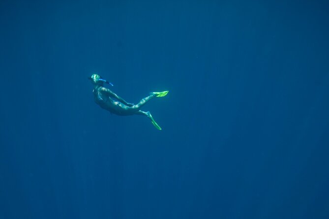 Private Snorkeling Experience in Aqaba Red Sea - Photos and videos included afterward