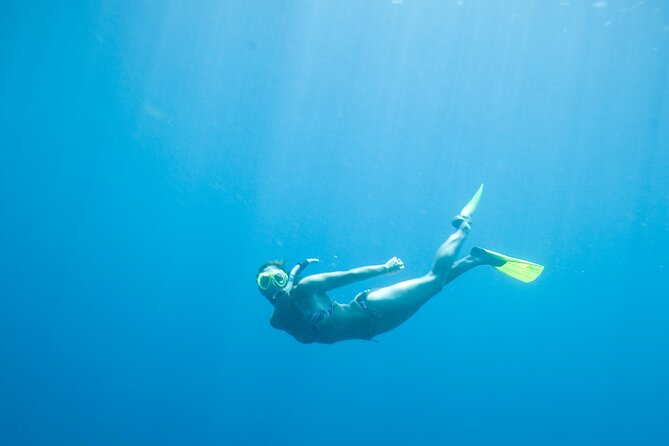 Private Snorkeling Experience in Aqaba Red Sea - Is $27 good value?