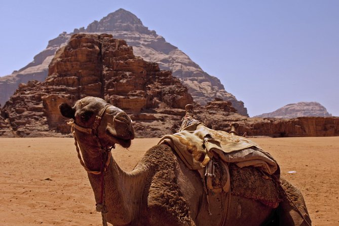 Private Tour of Wadi Rum Star Wars from Aqaba - Transport, group size, and practical comfort