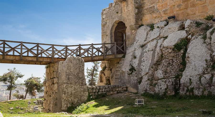 Private Tour to Jerash and Ajloun from Amman - Should you book this Jerash and Ajloun tour?