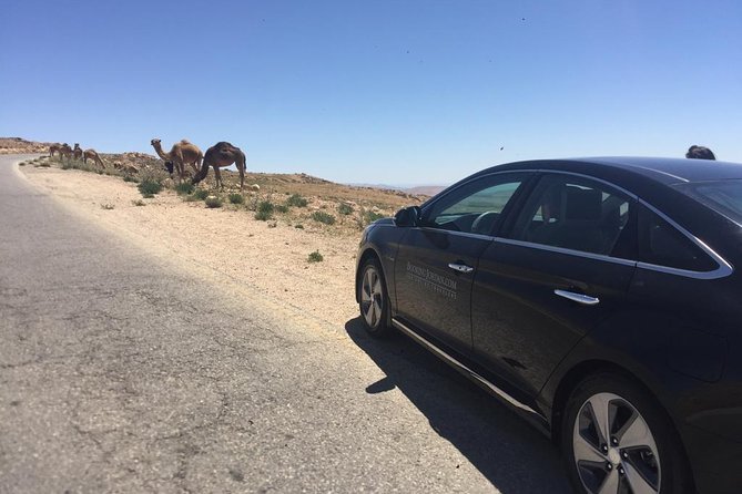 Private Transfer from Amman to Petra, Wadi Musa - Who should book this Petra transfer?