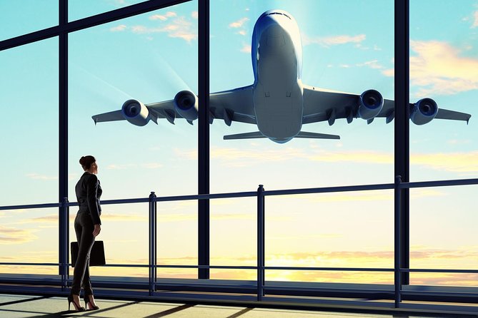 Private Transfer From Petra to Amman or Airport With Optional - What the driver adds to the experience