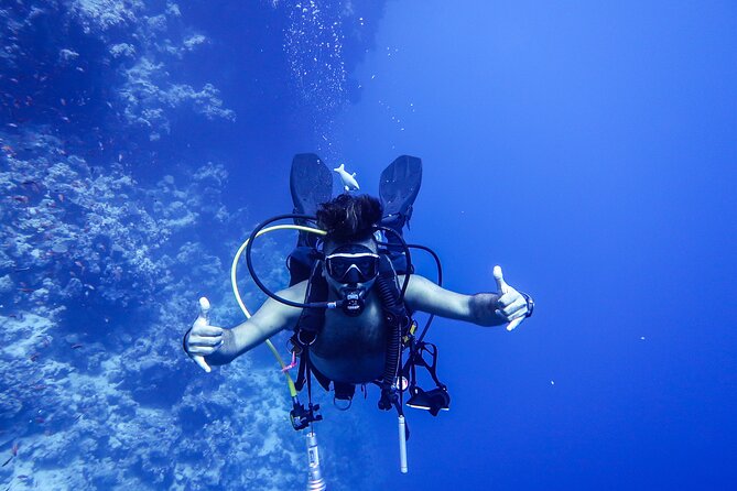 Scuba Dive and Explore Aqaba's Red Sea with a Private Guide - Meeting Zee at South Beach