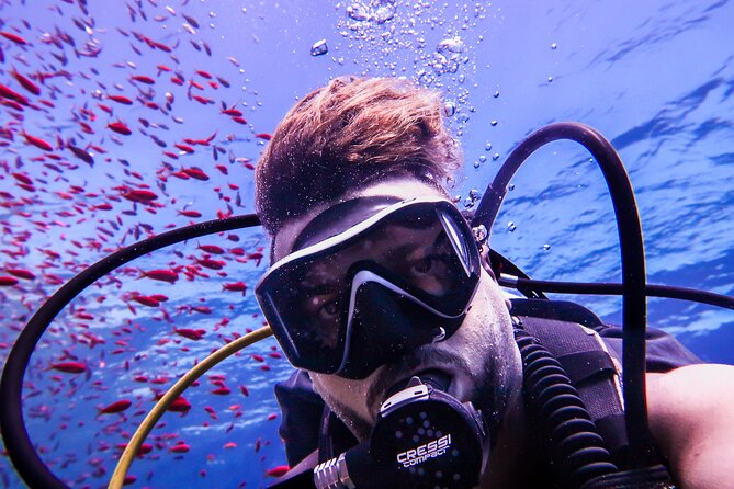 Scuba Dive and Explore Aqaba's Red Sea with a Private Guide - How the private format changes the experience