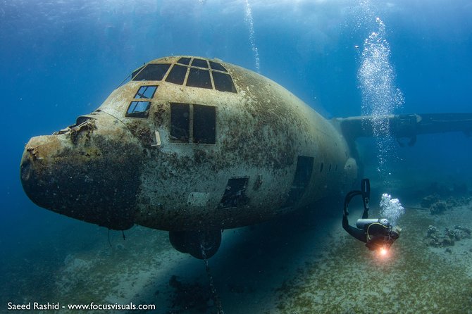 Scuba Diving for Certified Divers - Key points at a glance