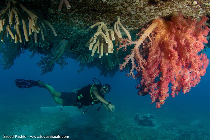 Scuba Diving for Certified Divers - The boat ride to Aqaba’s underwater sites
