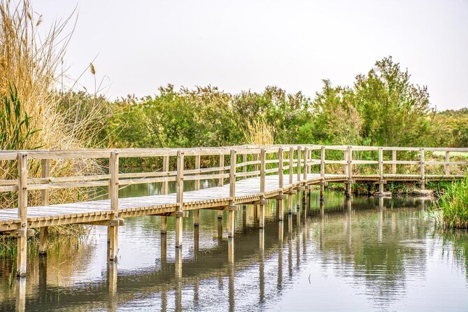 Shaumari Reserve and Azraq Wetland Private Full Day Tour from Amman - Key points to know before booking