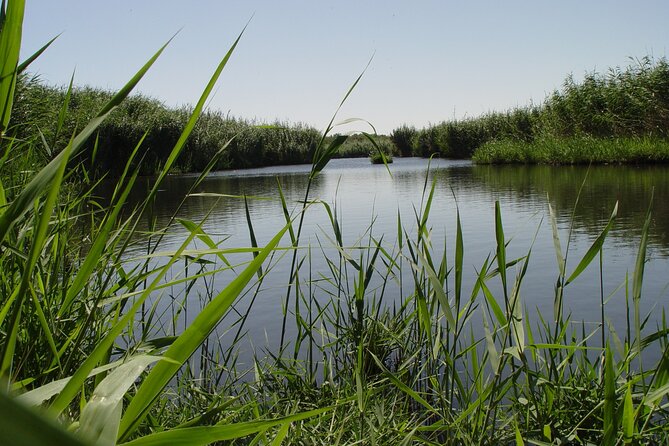 Shaumari Reserve and Azraq Wetland Private Full Day Tour from Amman - Why this eastward day trip is worth considering