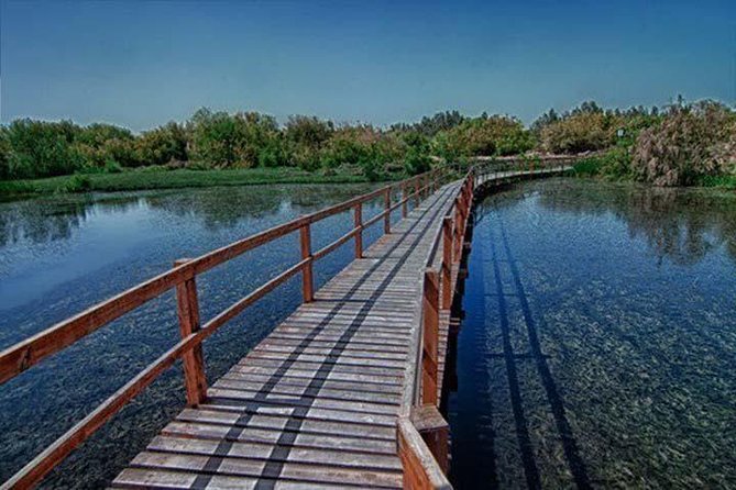 Shaumari Reserve and Azraq Wetland Private Full Day Tour from Amman - The best seasons for birds and wildlife