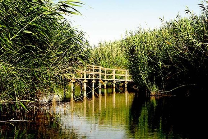 Shaumari Reserve and Azraq Wetland Private Full Day Tour from Amman - Shaumari Reserve and the return of native wildlife
