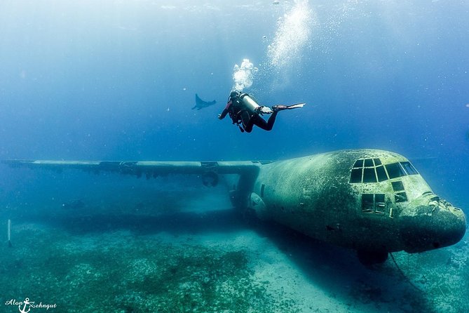 Shore Certified Diving - Two Dives - Why South Beach works so well for a short Aqaba outing