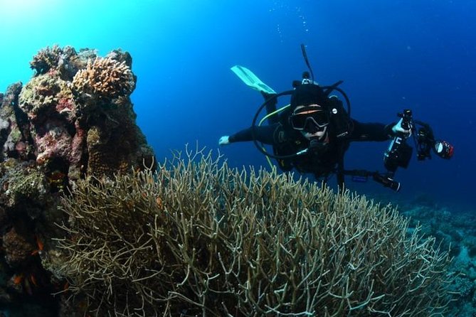 Shore Certified Diving - Two Dives - Practical advice for making the day smoother