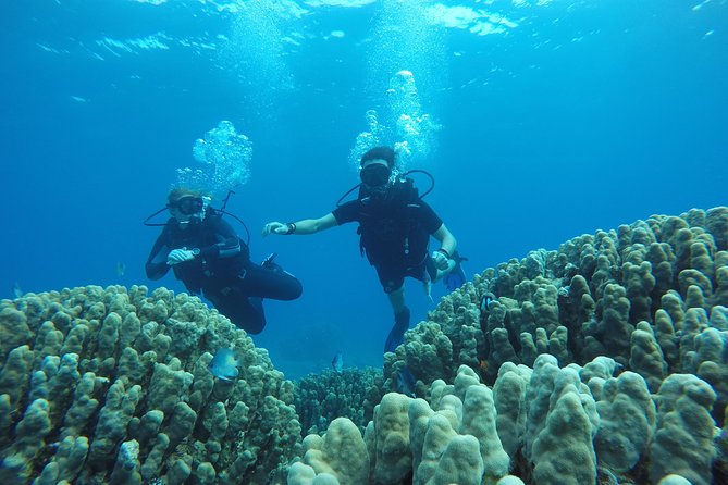 Shore Discover SCUBA Diving/Introductory Diving - One Dive - What Your Two Hours In Aqaba Look Like